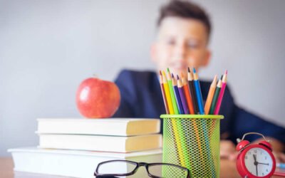«Una educación personalizada: El enfoque único de Mis Primeros Pasitos en Arica para la educación preescolar»